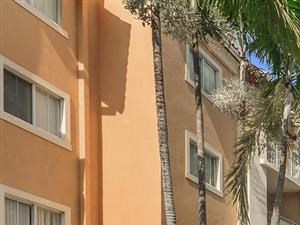 shamrock of sunrise fl apartments pool view